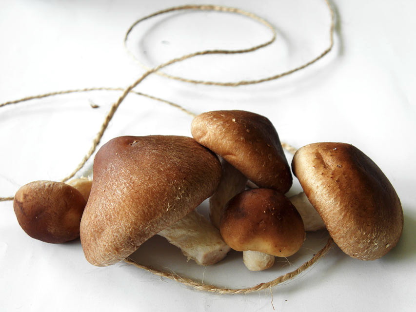 how to use shiitake mushroom